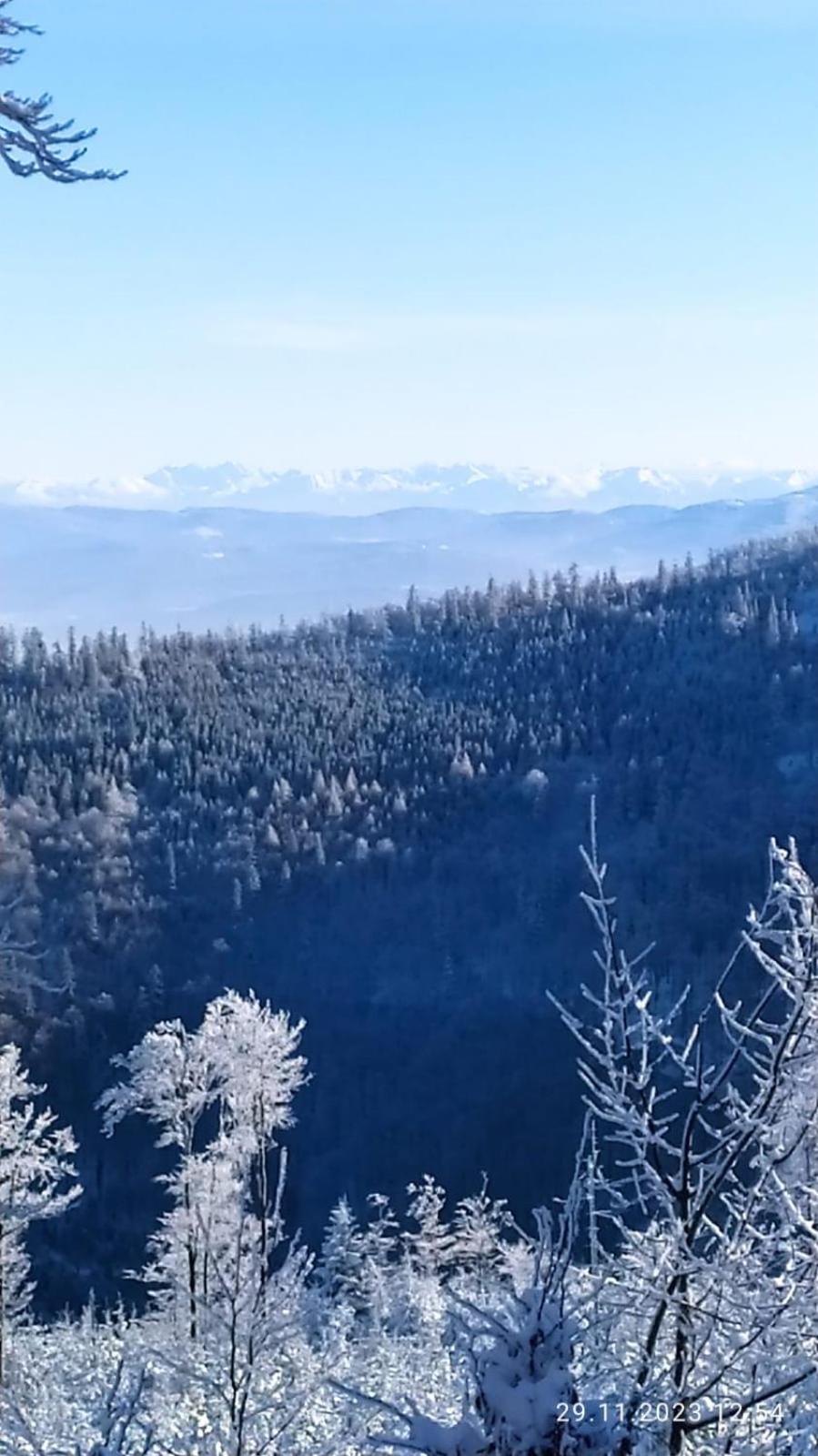 Dom Wypoczynkowy Pod Polanka Korbielow Bagian luar foto