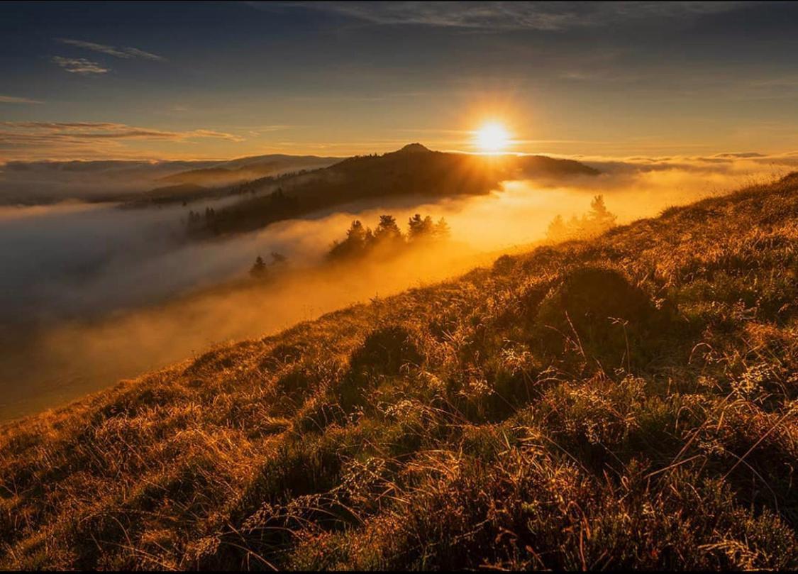 Dom Wypoczynkowy Pod Polanka Korbielow Bagian luar foto