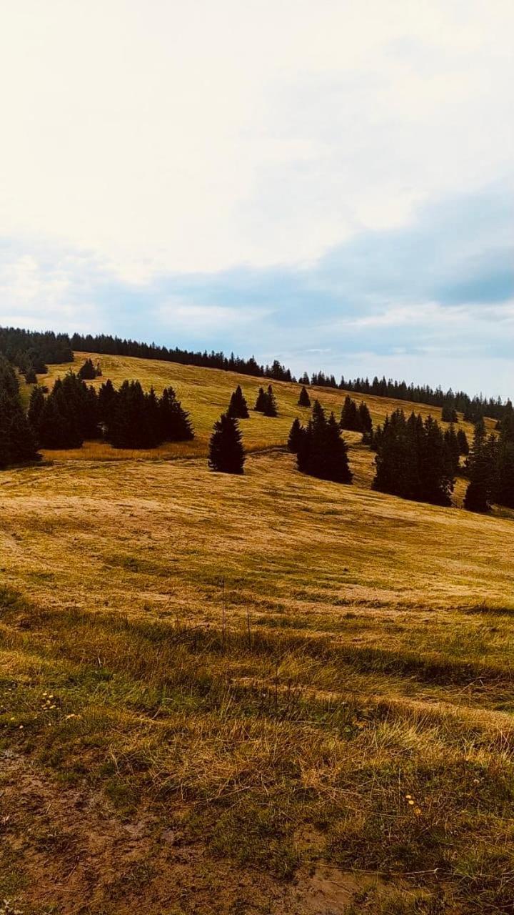 Dom Wypoczynkowy Pod Polanka Korbielow Bagian luar foto