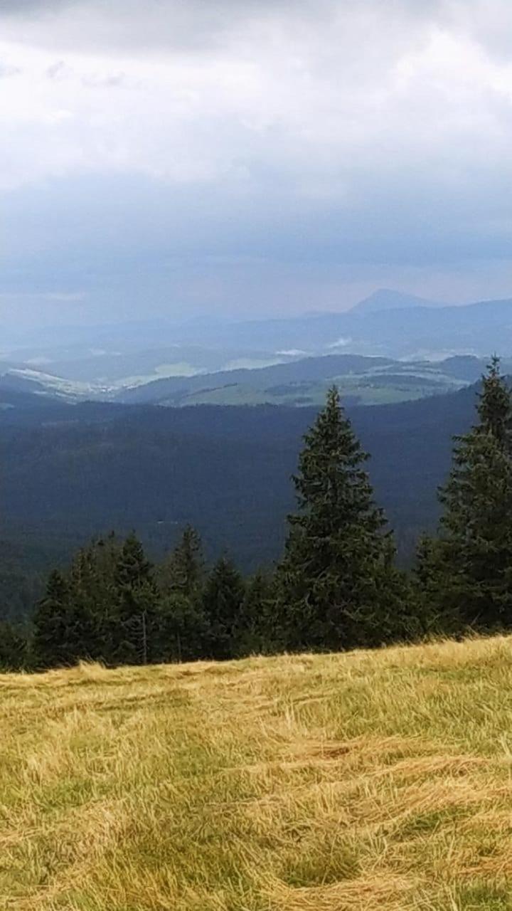 Dom Wypoczynkowy Pod Polanka Korbielow Bagian luar foto