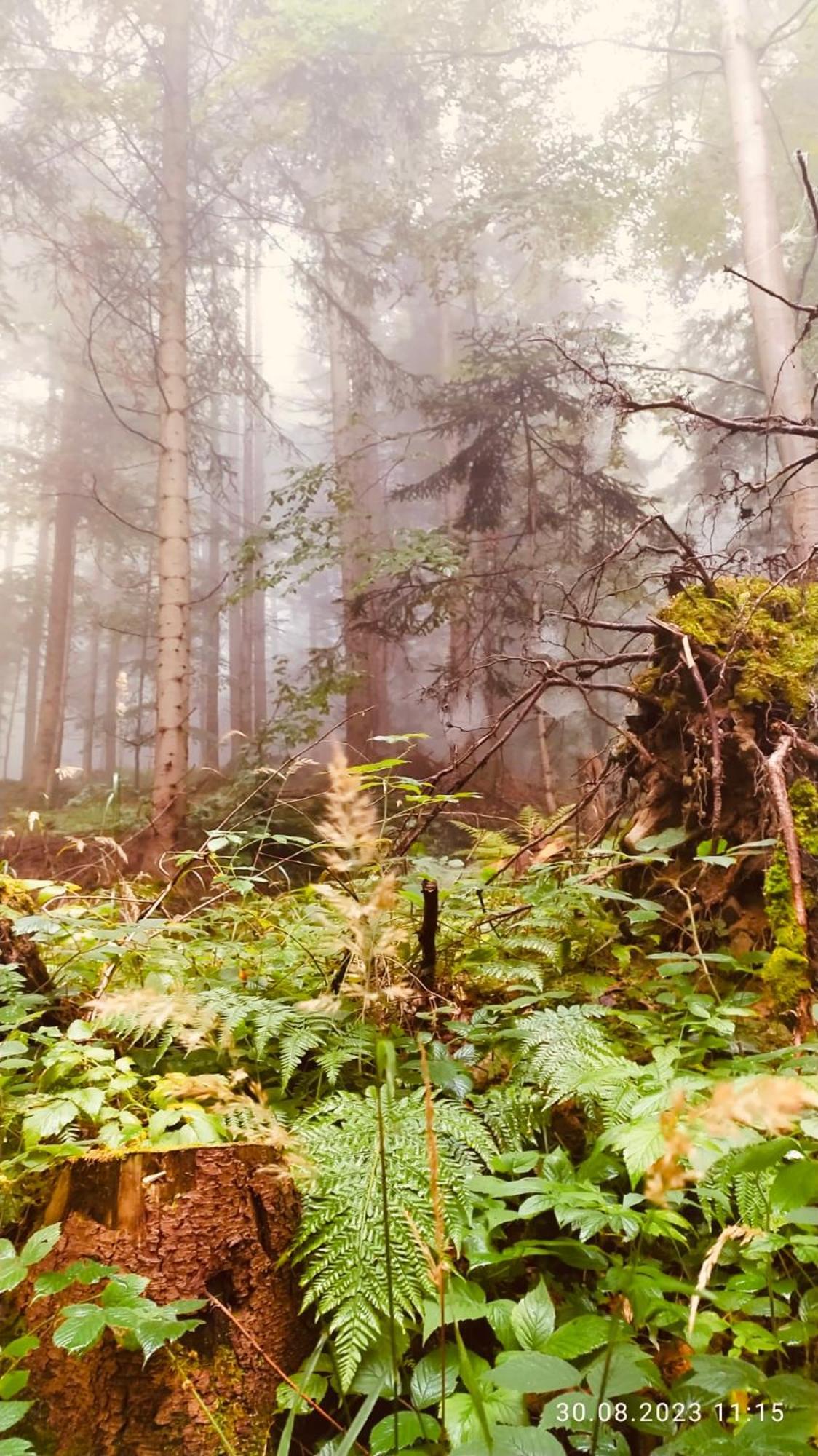Dom Wypoczynkowy Pod Polanka Korbielow Bagian luar foto